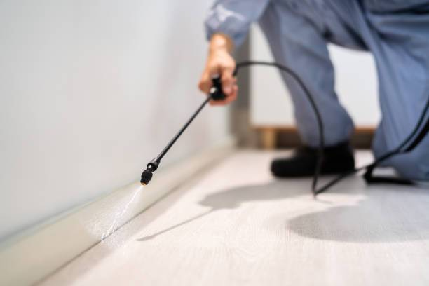 Licensed Pest Control service in Pigeon, MI - Nex Pest Control