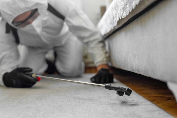 Professional Pest Control technician working in Pigeon, MI